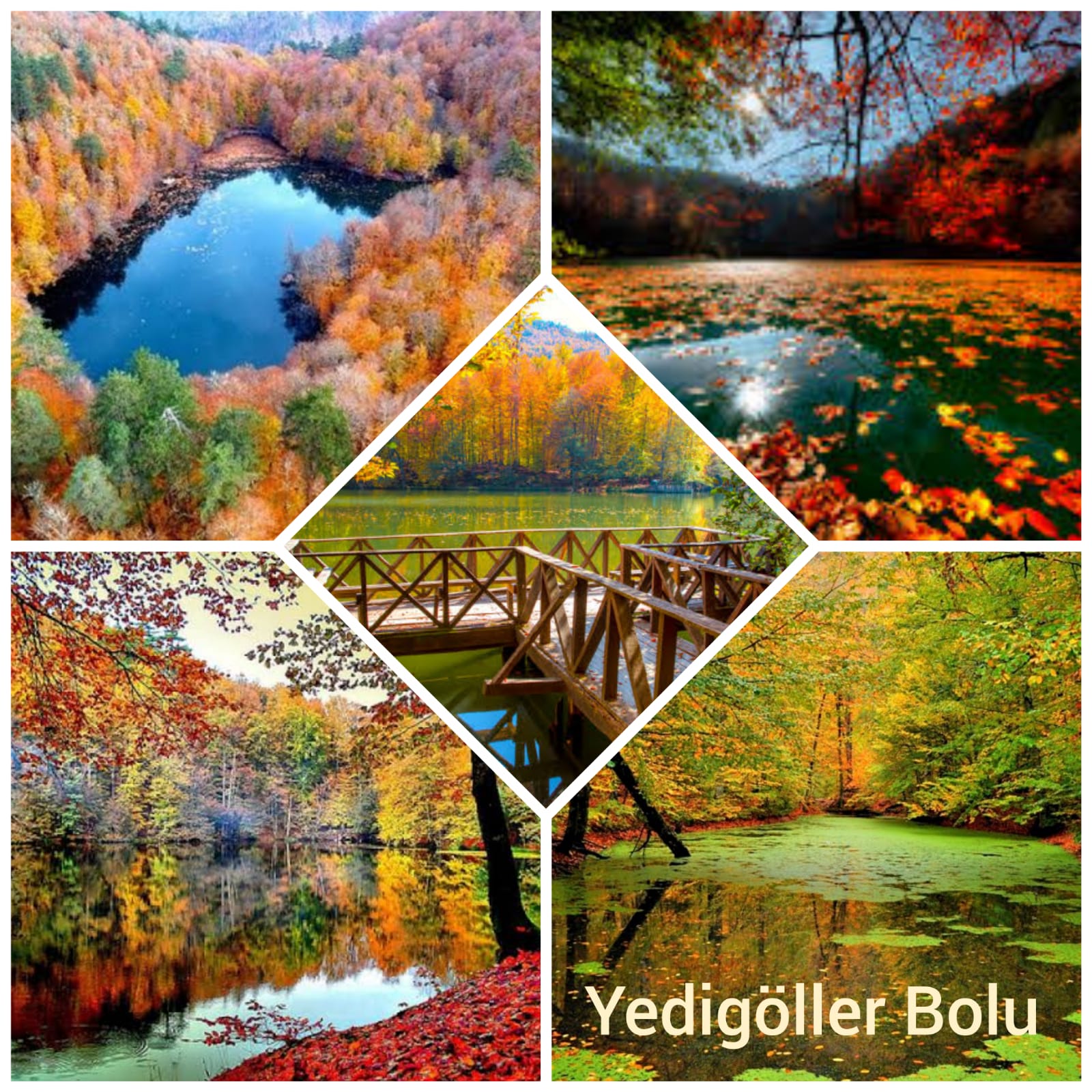 Yedigöller Milli Parkı